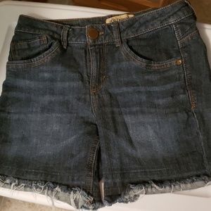 Democracy Frayed Jean Shorts